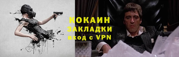 стафф Алзамай