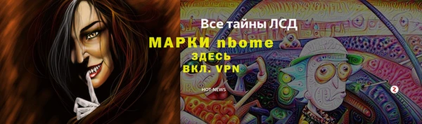 стафф Алзамай