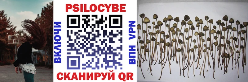 Галлюциногенные грибы Psilocybine cubensis  даркнет состав  Сортавала  купить  